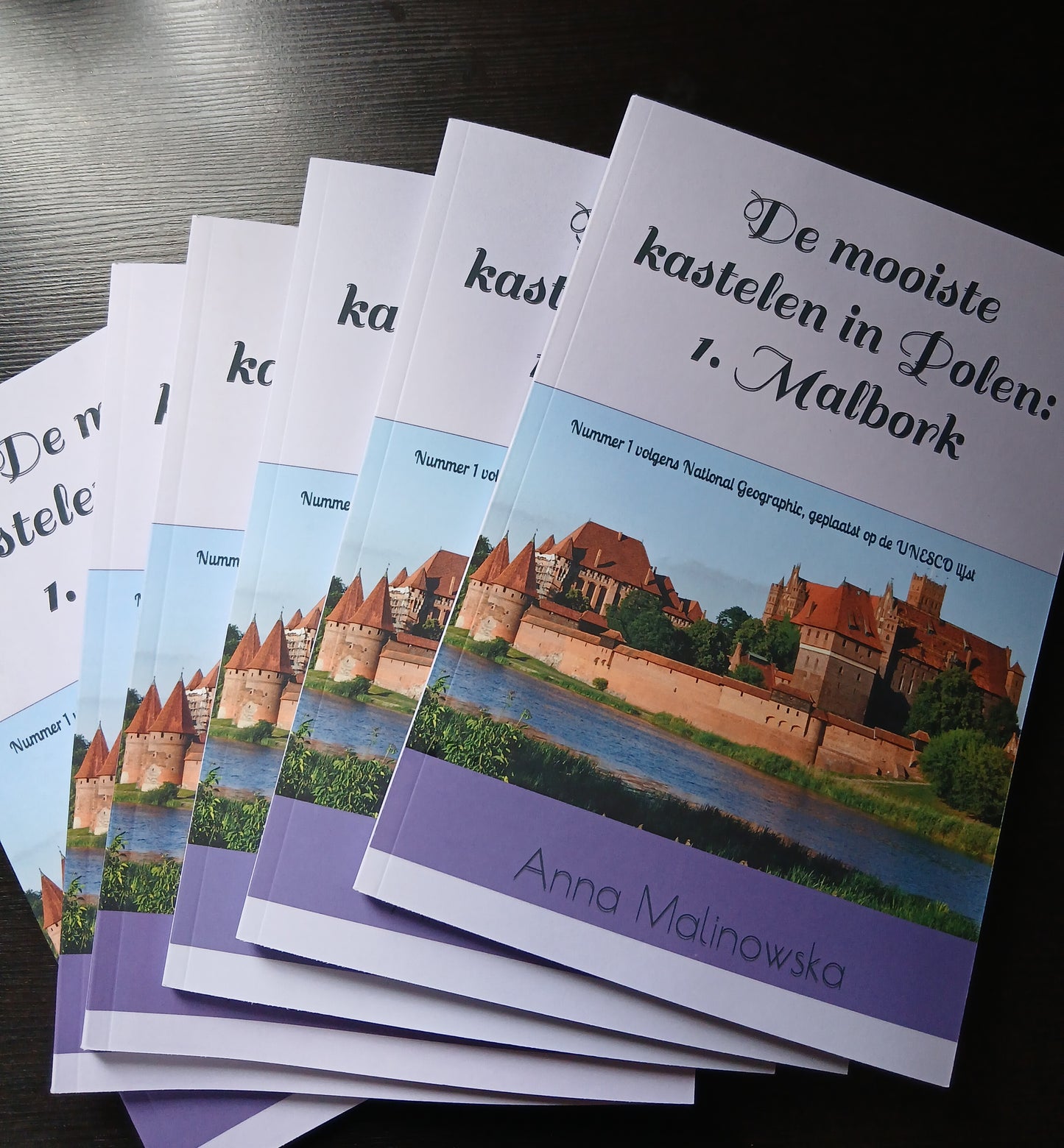 De mooiste kastelen in Polen: 1. Malbork